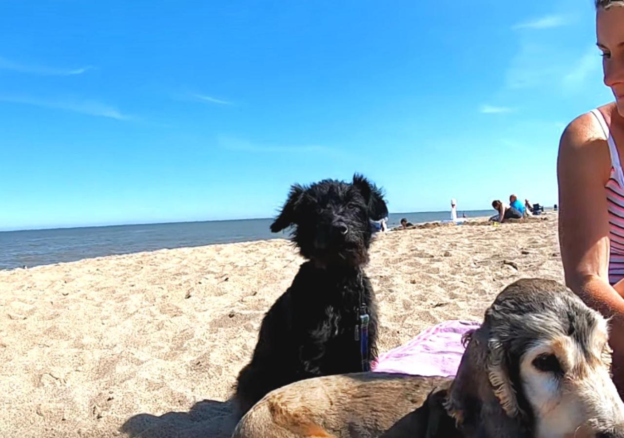 Romantic Lakeside Cottage By The Beach! With Super Cosy Log Burner! The Perfect Escape To Your Home From Home By The Sea! So Relaxing - You Won'T Want To Leave! Pet Friendly! Мейблторп Экстерьер фото